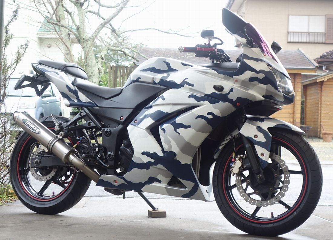 Ninja250R ニンジャ250R 社外フルエキ その他カスタム多数 個性的な雪迷彩にオールペン 消耗品OK 絶好調 現車確認&引取OK 茨城県 神栖市!